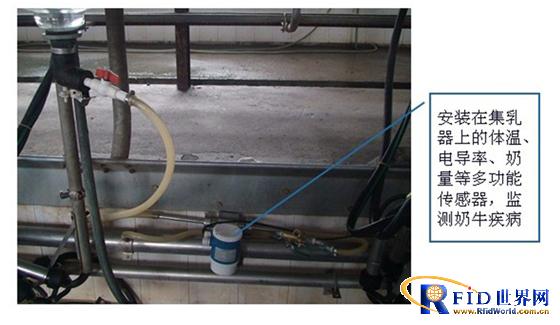奶牛电子标识与养殖管理信息系统解决方案
