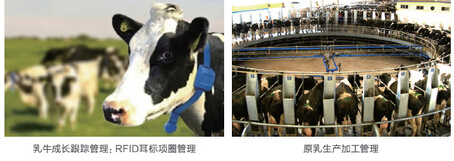 乳品追溯原理与流程